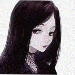 金刚鹦鹉